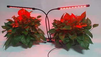 24W Led Grow Light Red Modri Spekter Z Časovnik 3 Preklop Načina Zatemniti Posnetek LED Svetilke Rastlin Pridelovanje Cvetja Razsvetljave v Zaprtih prostorih
