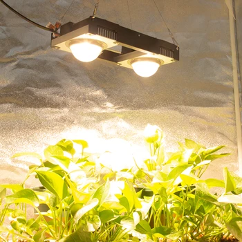 CXB3590 Državljan 048-1212 100W 200W COB LED Grow Light Celoten Spekter Rastlin Raste Svetilke za Notranjo Rastlinjakih Hydroponic Rastlin