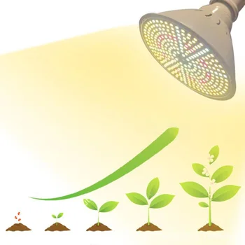 Celoten Spekter 290 LED rastlin Raste žarnice E27 sijalko, zelenjave cultivo Toplogrednih notranja Hidro sončni svetlobi Ffs Lučka Cvet, ki raste šotor